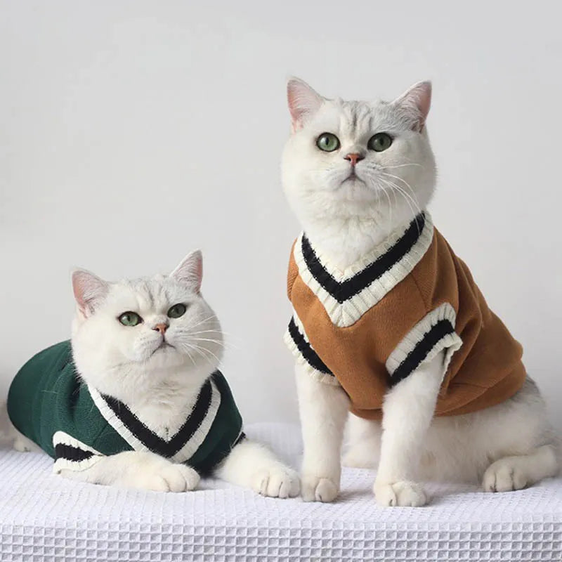 Catt Sweater Pullover for Cats