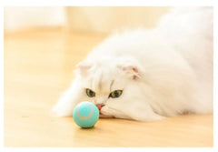 Interactive Magic Ball For Cats