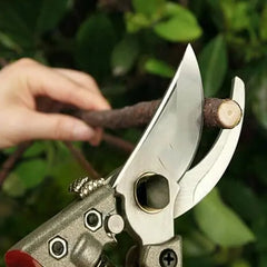 Fruit Tree Pruning Shears